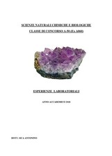 Libro - Antonino Sica -