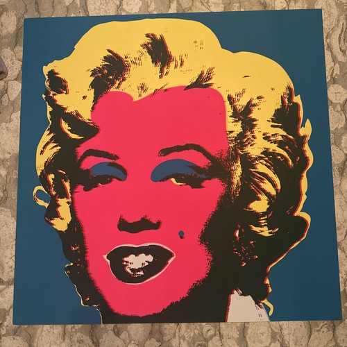 Silkscreen andy warhol - silkscreen,