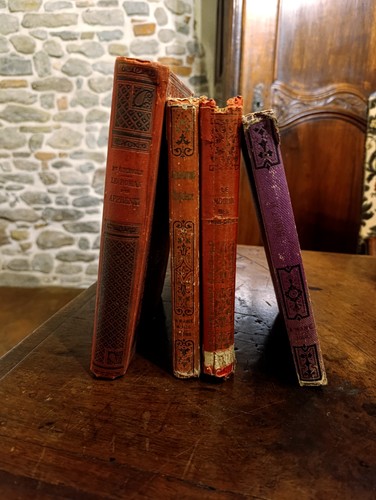 Lotto libri antichi - francesi,
