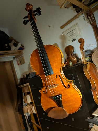 Violino liuteria - violino, 4/4