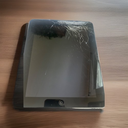 Apple ipad generazione - 1a,