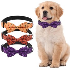 KTWSUEF Collare Cane Halloween