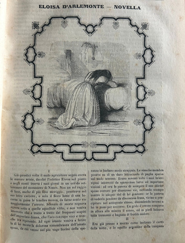 Novella articoli stampa - novella, su