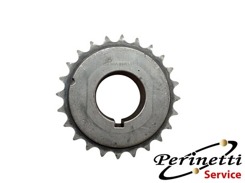 Ingranaggio dentato albero - ingranaggio,