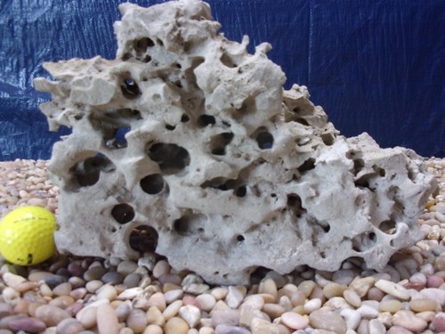 Texas holey rock - 10#,