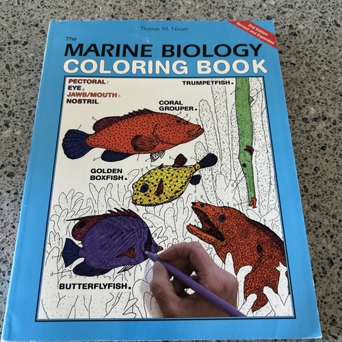 The marine biology - the, coloring