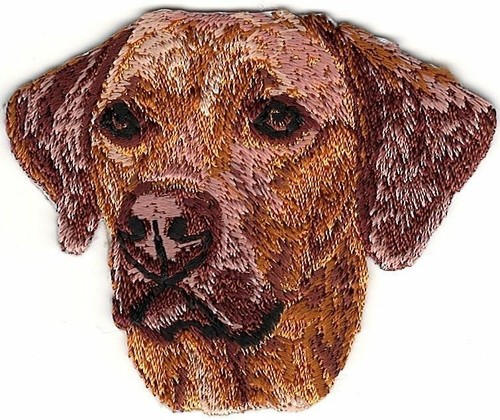 Rhodesian ridgeback toppa per - ridgeback,