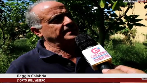 Orto sull albero - -, semi