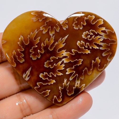 166 cuore naturale ammonite - naturale,