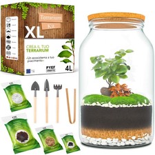 PYEF CRAFTS Terrarium Kit XL