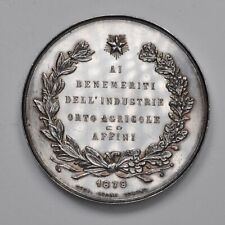 * ITALIA, PIEMONTE, COMITATO ESPOSIZIONE VERBANESE, 1879 Medaglia ai Benemeriti
