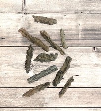 Folgorite minerale collezione pietre dure naturali cm.4/8