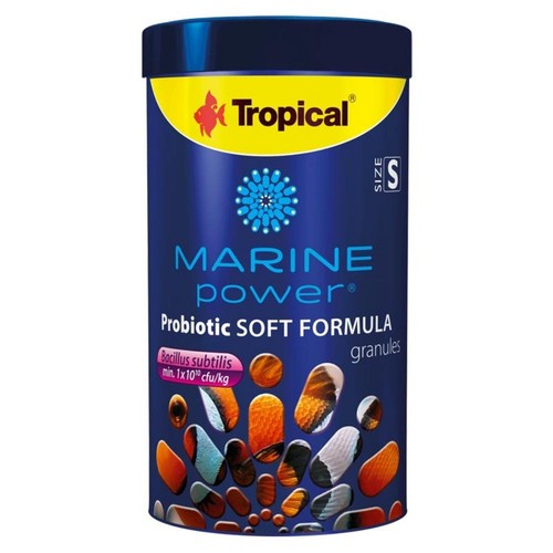Tropical marine power - tropical,