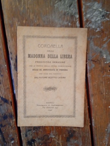 Coronella della madonna - madonna,