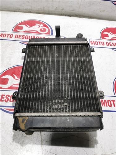 Radiatore acqua kymco xciting - radiatore,