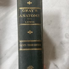 Gray's Anatomy Lewis
