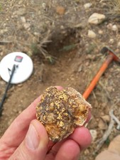 Minelab GPX 6000 Metal