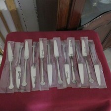 12 Coltelli Da Pesce IN