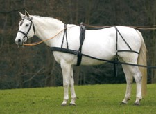 Finimento singolo da calesse o