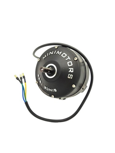 Moteur dualtron mini 1000w - moteur,