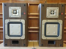 Pair of Sony APM-20ES