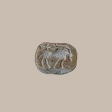 Scarabeo in Steatite del Nuovo