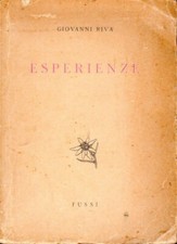 Esperienze giovanni riva - esperienze,