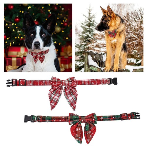 Collare per cani natale - cani, di