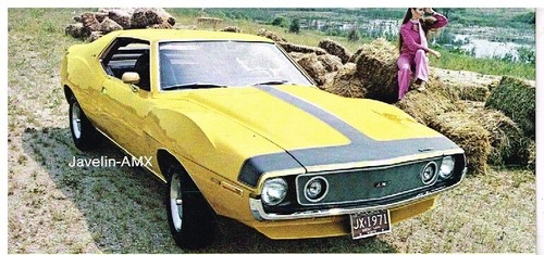 Amc ambassador gremlin - amc, hornet