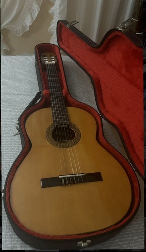 Chitarra classica raimundo - chitarra,
