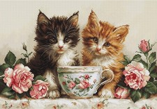 Kit punto croce due gatti - croce, e