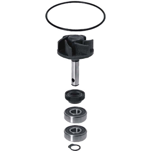 Kit revisione pompa acqua - revisione,