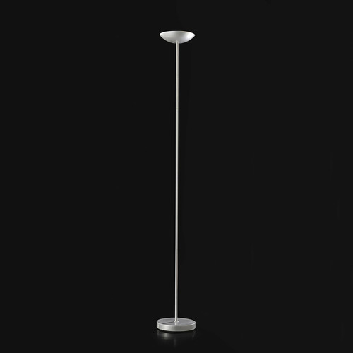 Piantana contemporanea metis - contemporanea,