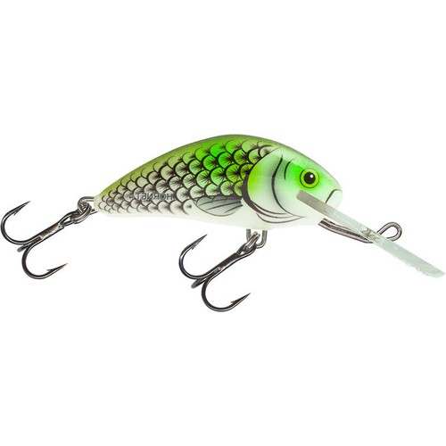 Salmo hornet esche - hornet,