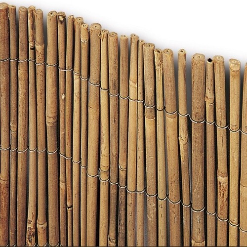 Tenda siepe arella bambu - siepe, taim