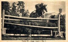 PINEROLO, Torino - Scuola di