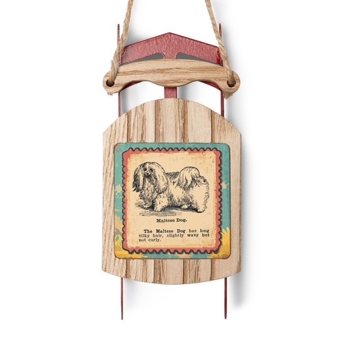 Maltese illustrazione - -,
