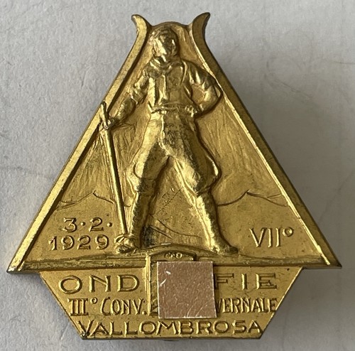 Distintivo ond fie convegno - distintivo,