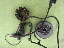 Honda Mtx125r VOLANO ACCENSIONE Completa  STATORE Bobina Centralina Honda Ns?