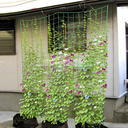 Rete traliccio giardino - rete,