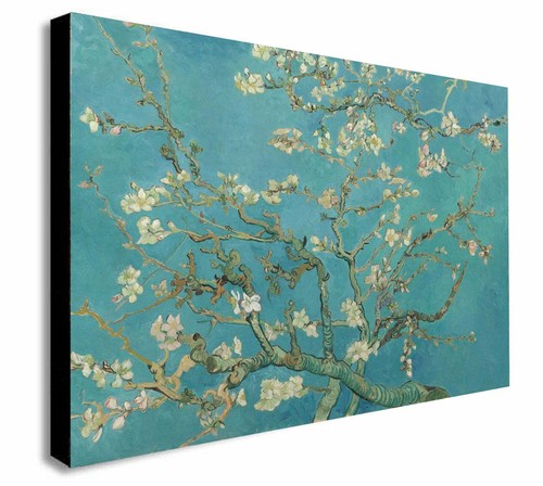 Van gogh fiore mandorlo - fiore, di