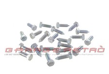 set viti telaio maggiolino maggiolone karmann pescaccia type 3 22 pz