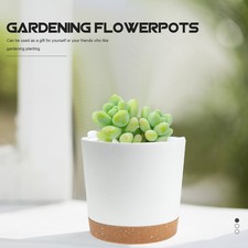  2 Pcs Vasi in Plastica Grandi