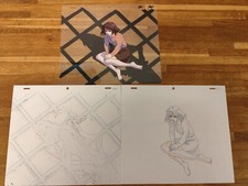 Saeko Shinseiki Inma Seiden