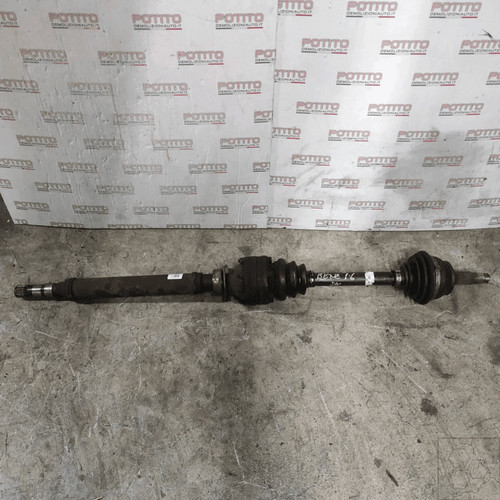 46307650 semialbero ant - semialbero,