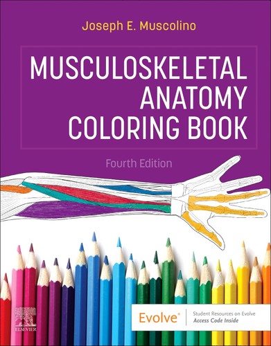 Musculoskeletal anatomy - musculoskeletal,