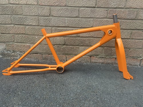 Mongoose summer project - summer,