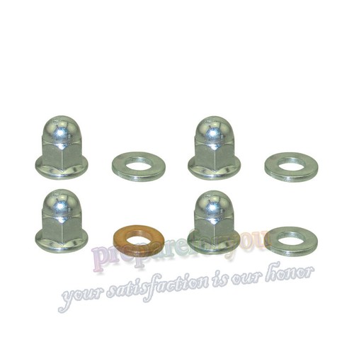 Set dadi ghianda perno - , testa