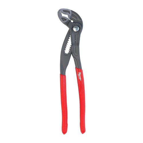 Promo pinza pappagallo - pinza,