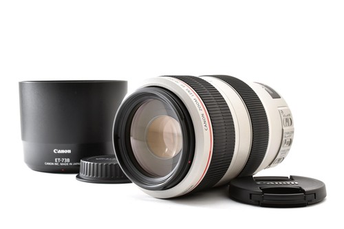 Canon 300mm 5 - 70-300mm, f/4-5.6